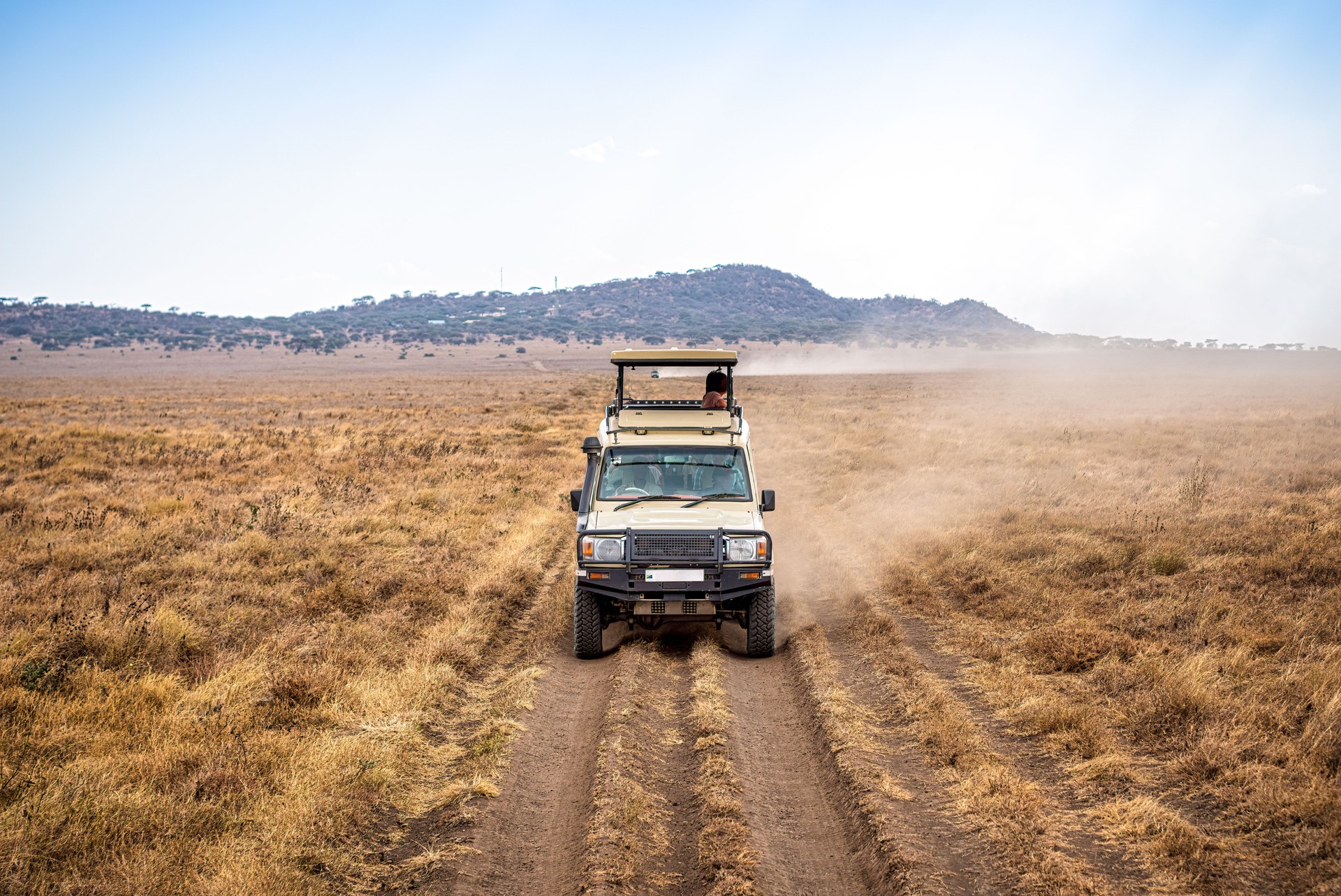 Tourists enjoying a safari trip in a 4x4 vehicle